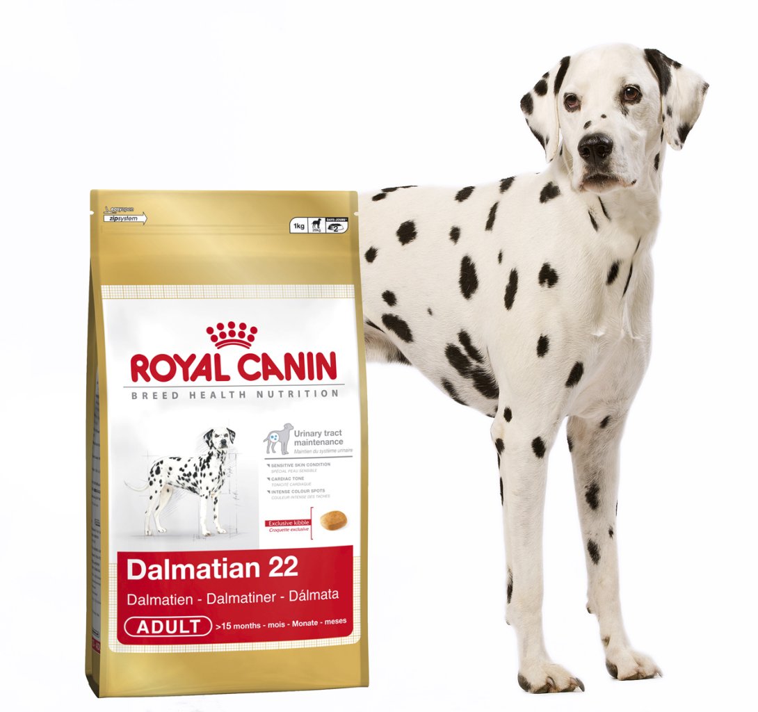 Корм для собак роял 15 кг. Корм для далматина Роял Канин. Royal Canin Dalmatian 12 кг для собак. Роял Канин для далматинцев. Adult Dalmatian корм для собак.